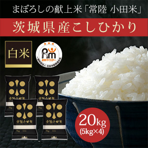 茨城県産こしひかり