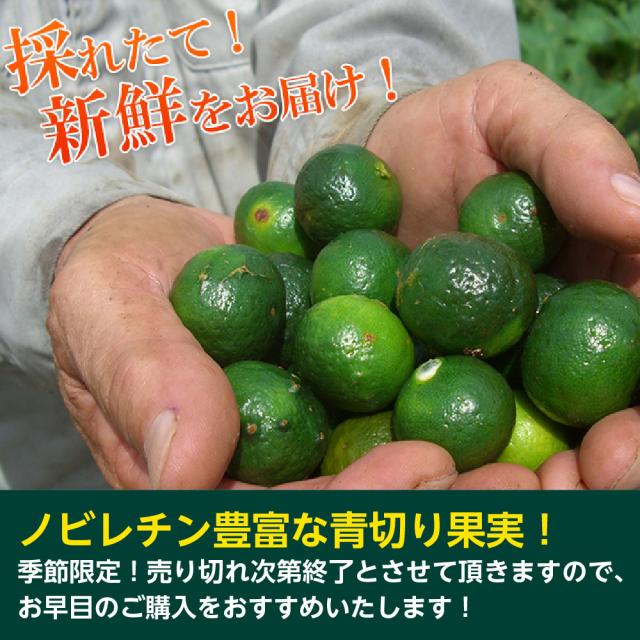 沖縄産シークワーサー果実