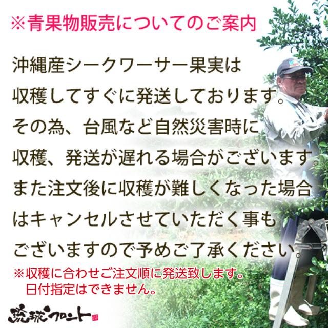 沖縄産シークワーサー果実