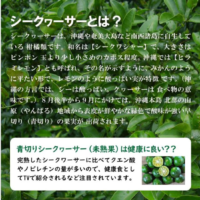 沖縄産シークワーサー果実