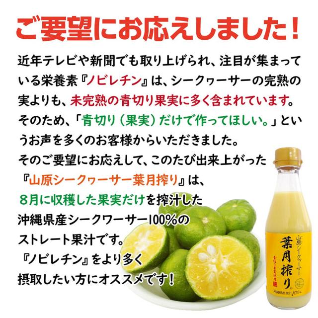 シークワーサー