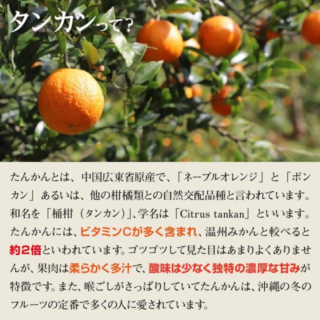 シークワーサー