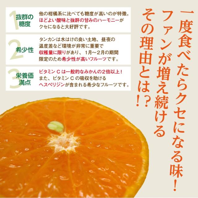 シークワーサー