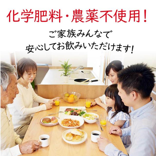 シークワーサー