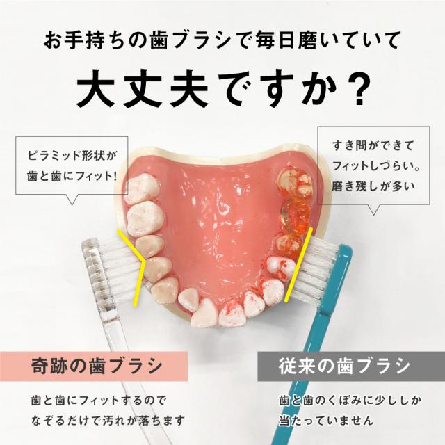 歯にフィットする画像