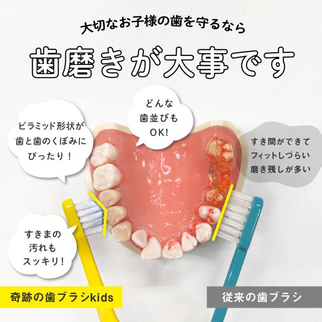 なぞるだけですっきり