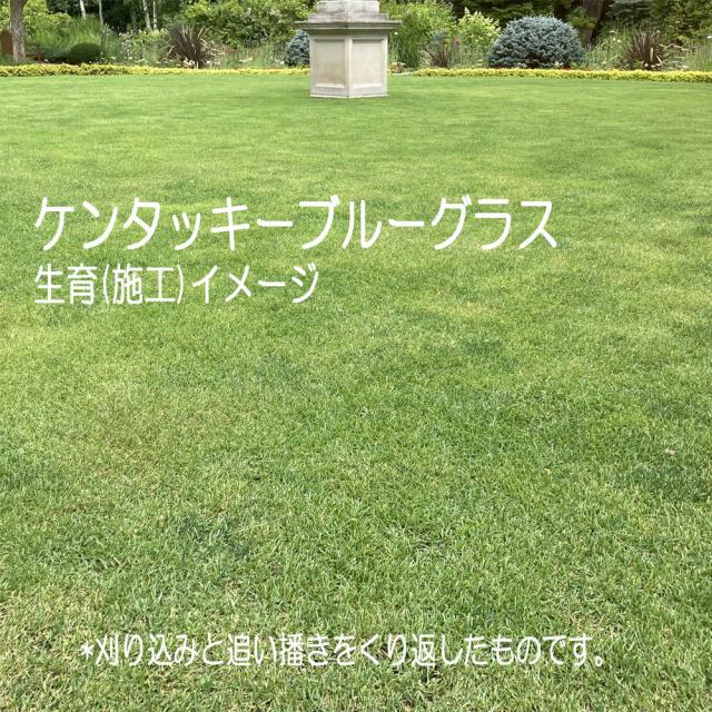 おすすめポイント