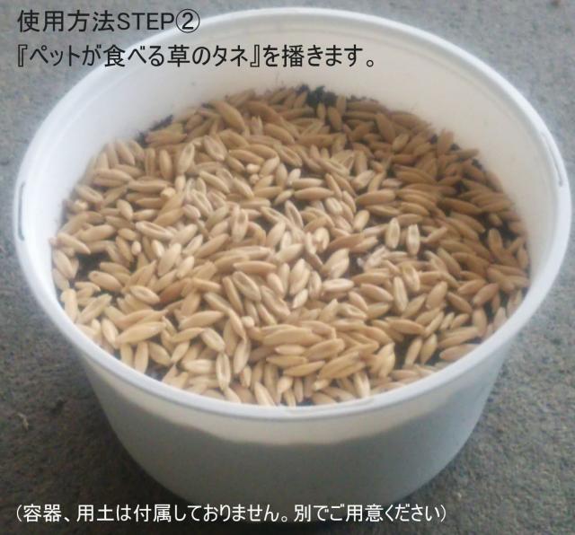 おすすめポイント