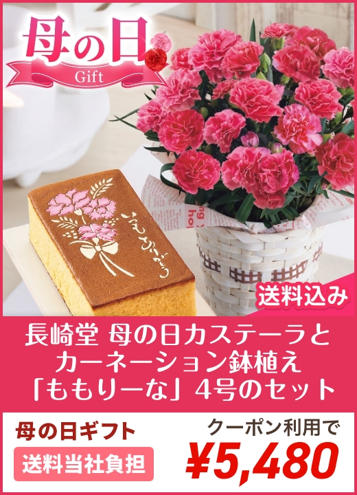 長?ｱ堂 母の日カステーラとカーネーション鉢植え「ももりーな」4号のセット