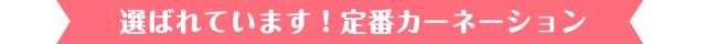選ばれています！定番カーネーション