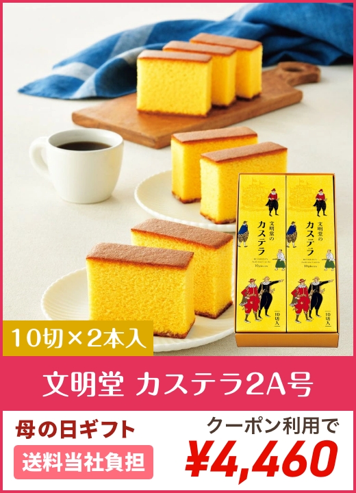 文明堂 カステラ2A号 10切×2本入