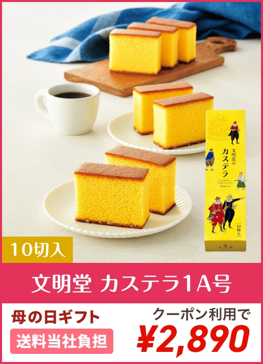 文明堂 カステラ1A号 10切入