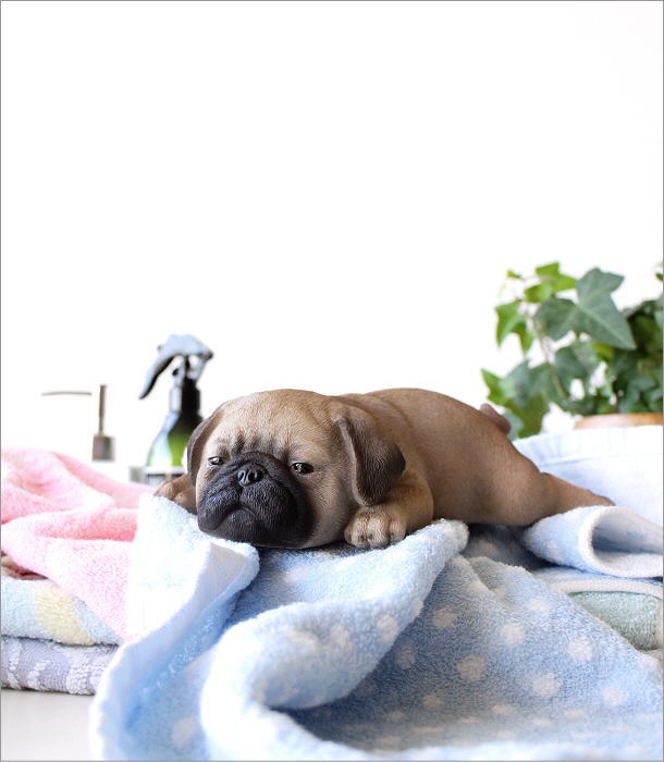 犬 置物 オブジェ アニマル 子犬 かわいい おしゃれ ドッグ 