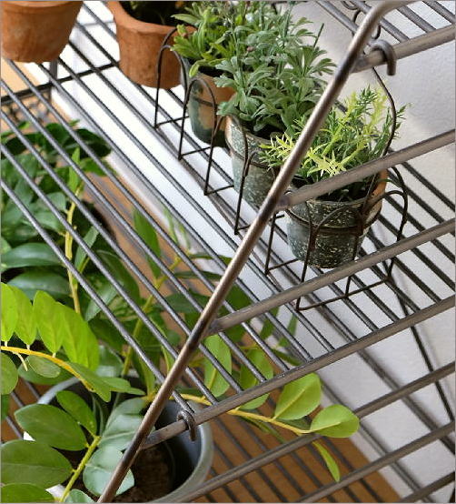 【SALE】アイアン　シェルフ　オープンシェルフ　観葉植物　棚　ブラウン　飾り棚 オープンラック 3段 アイアン 可動棚 オープンシェルフ 観葉植物