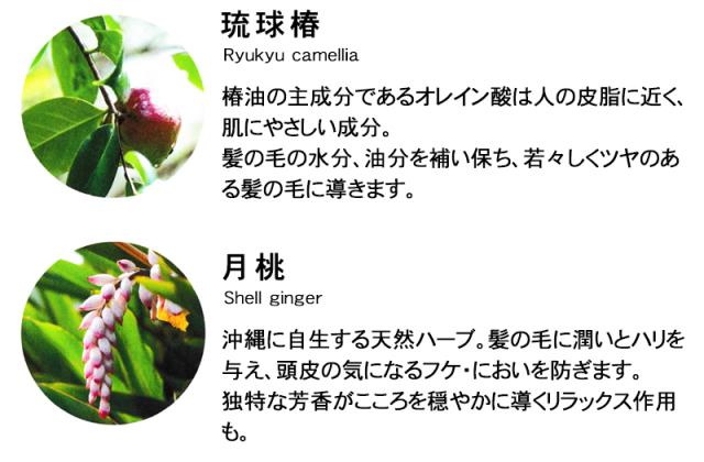 沖縄の自然の恵みに感謝をこめて