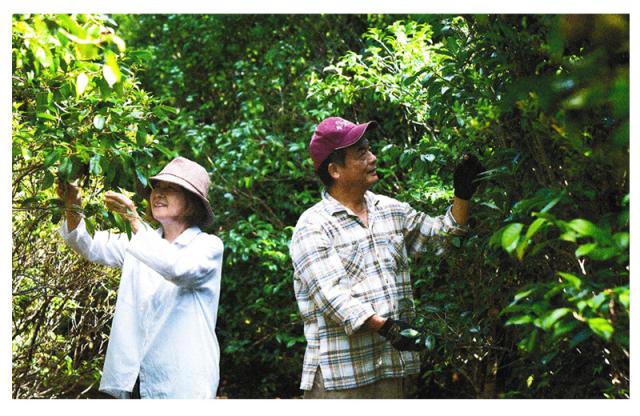 思いをこめて、全工程を夫婦ふたりで