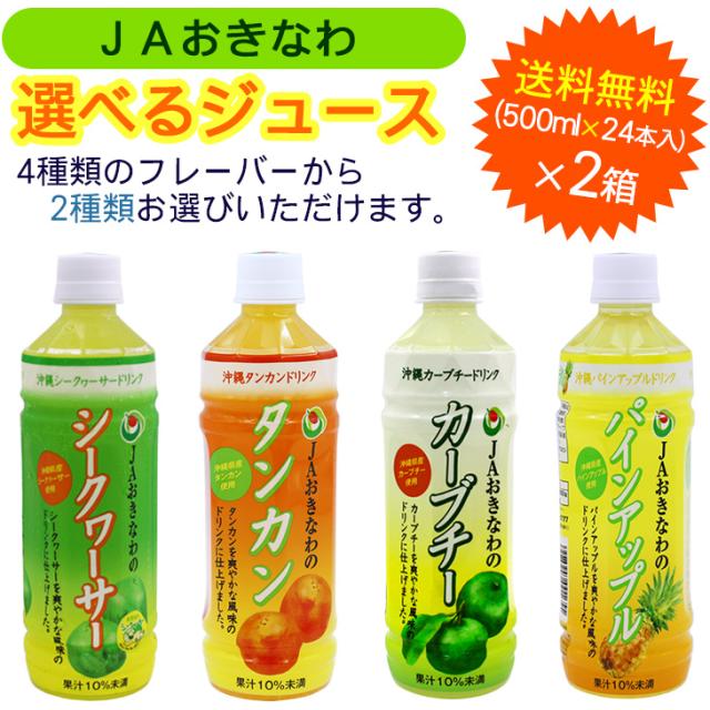 JAおきなわ フルーツジュース 24本×2箱セット 【送料無料】
