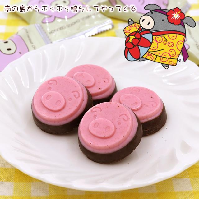 琉球あぶー ブタ鼻のチョコクランチ
