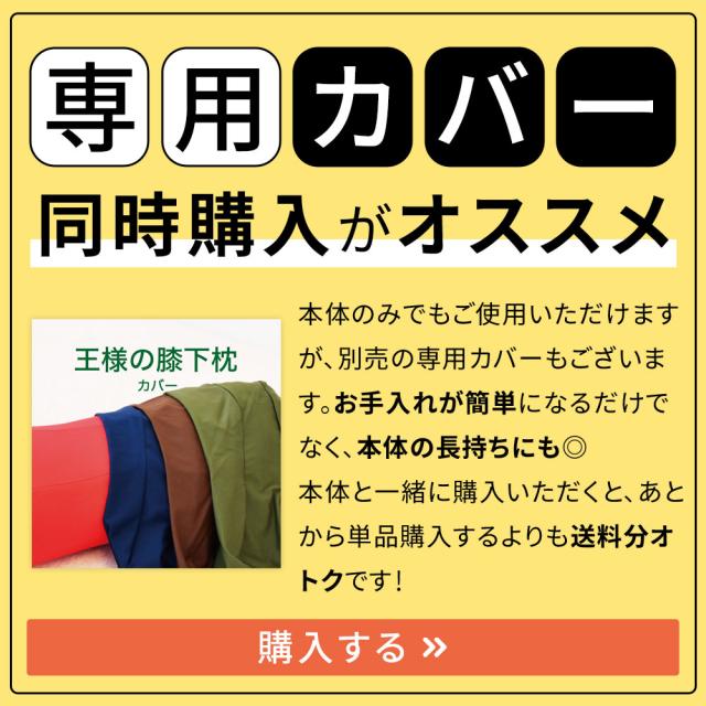 専用カバー