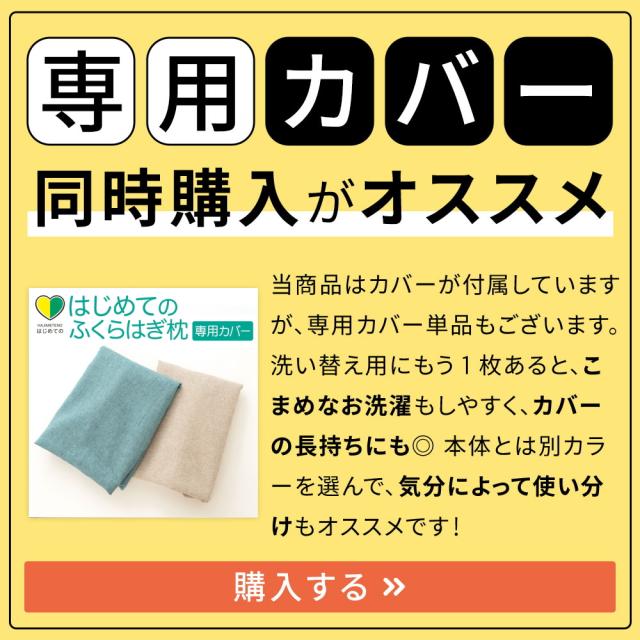 専用カバー