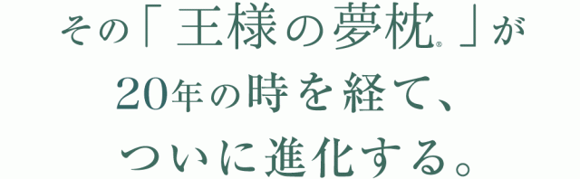 20年の時を経てついに進化する