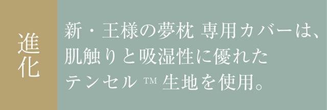 新・王様の夢枕 専用カバー(標準タイプ)