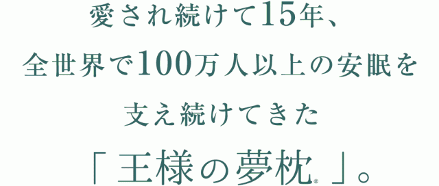 海外輸入 新 王様の夢枕 枕カバー付き 枕 まくら 王様 夢枕 ビーズ いびき 快眠 安眠枕 日本製 21超人気 Meydey Com Mx