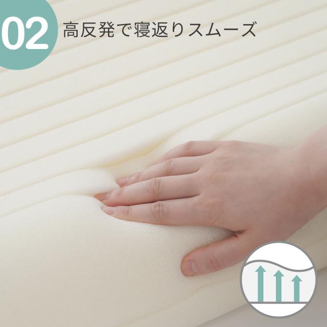 ネガエリーネ