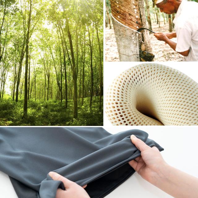 100％天然のヴァージンラテックスフォーム