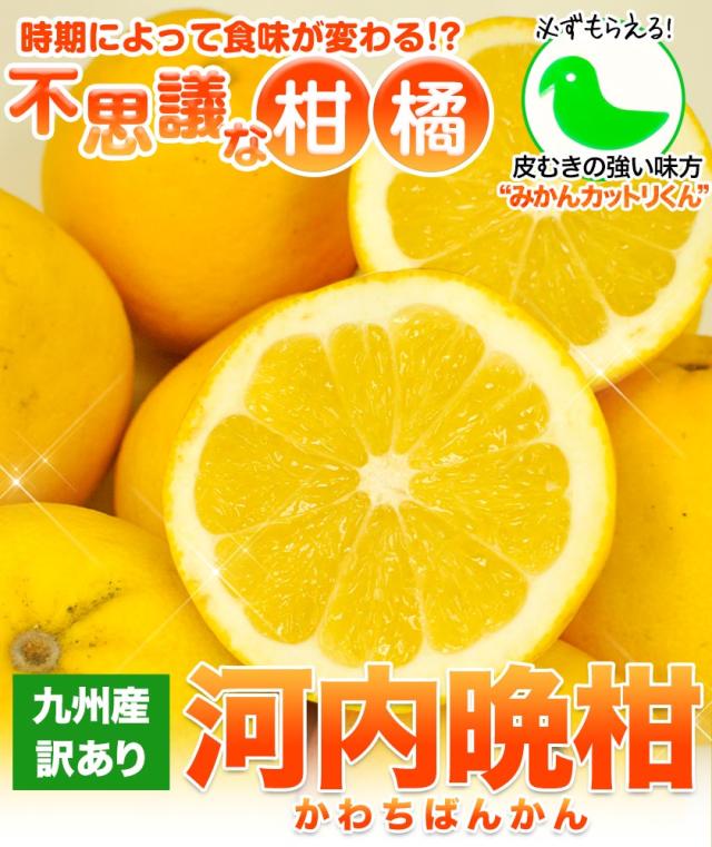 和製グレープフルーツ