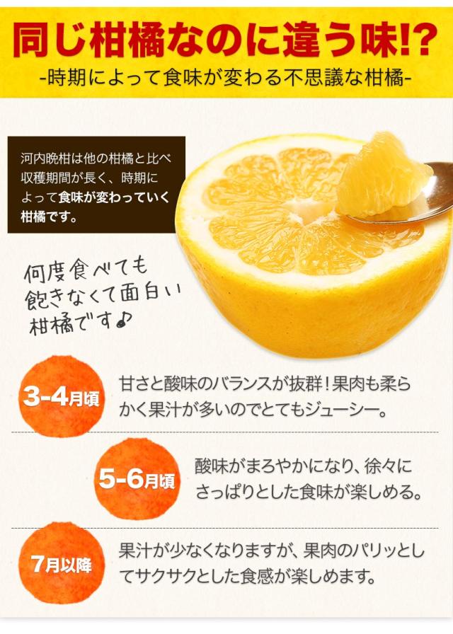 和製グレープフルーツ