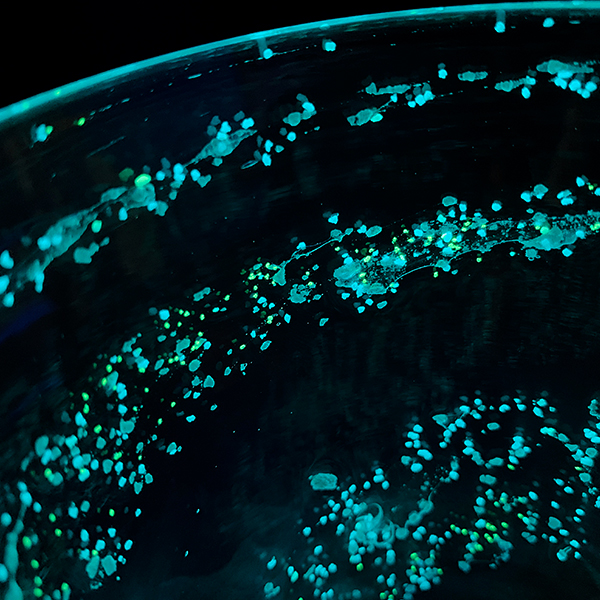 うるぬなだロックグラス