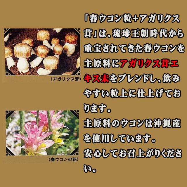 春ウコン粒 アガリクス茸