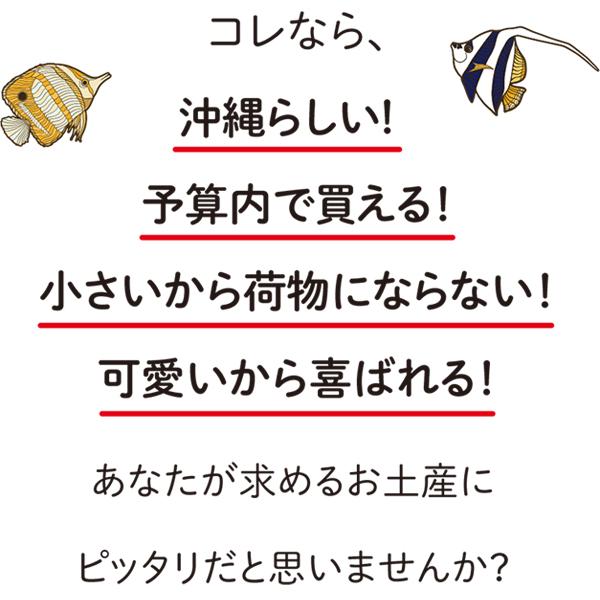 OKINAWAミント缶