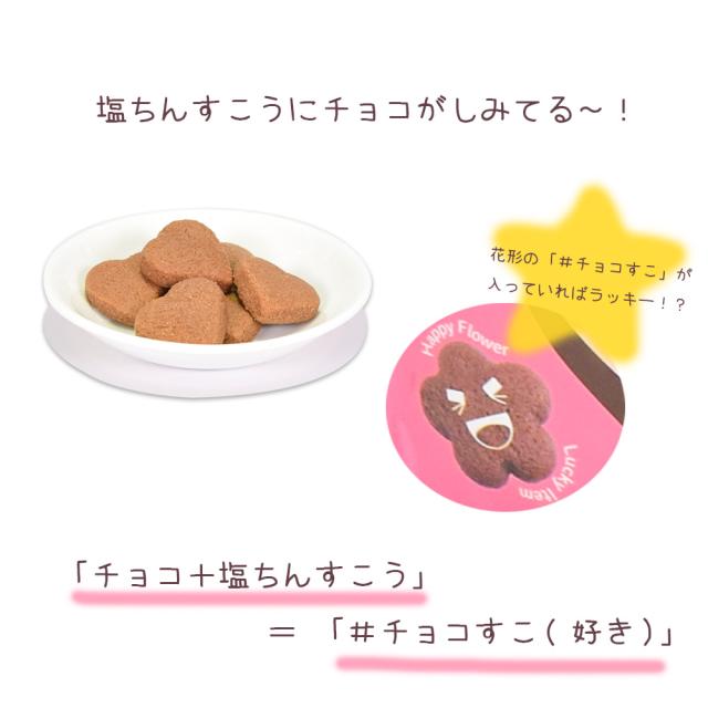 #チョコすこ 袋 60g
