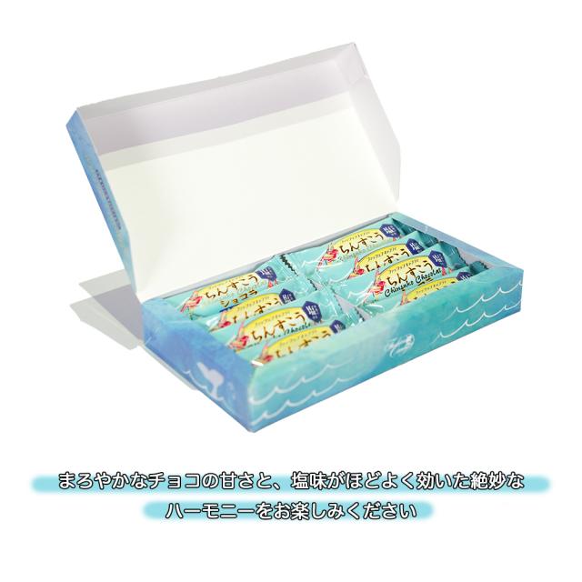 ちんすこう ショコラ ソルティココア＆ホワイトチョコ 箱 10個入