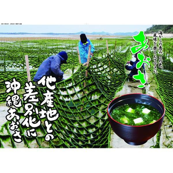 沖縄県産 乾燥 あおさ 8g