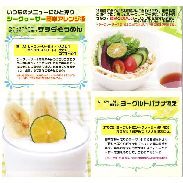 沖縄県産シークヮーサー原液