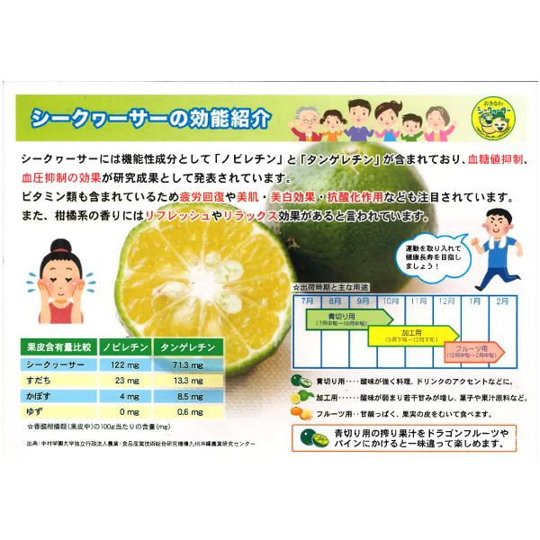 沖縄県産シークヮーサー原液