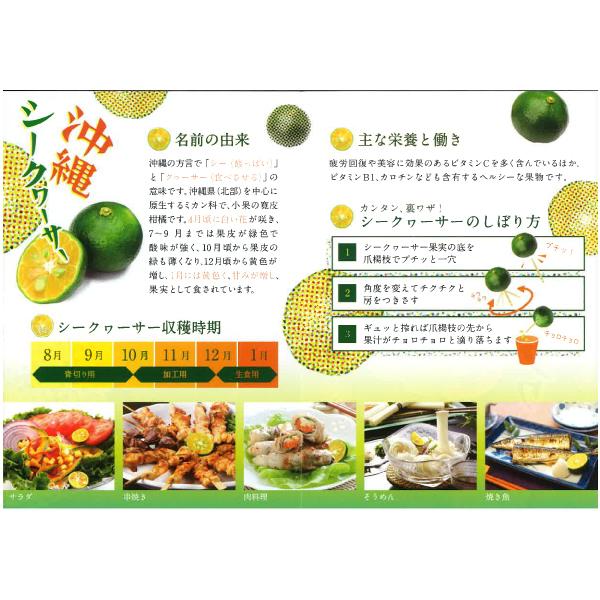 沖縄県産シークヮーサー原液