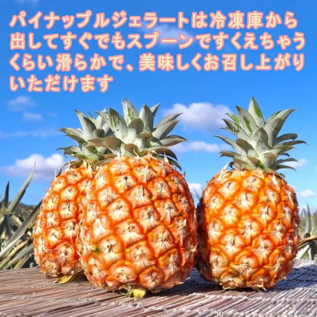 パイナップルジェラート