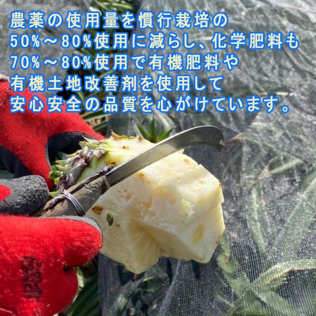 パイナップルジェラート