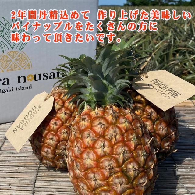 石垣島産 ピーチパイン