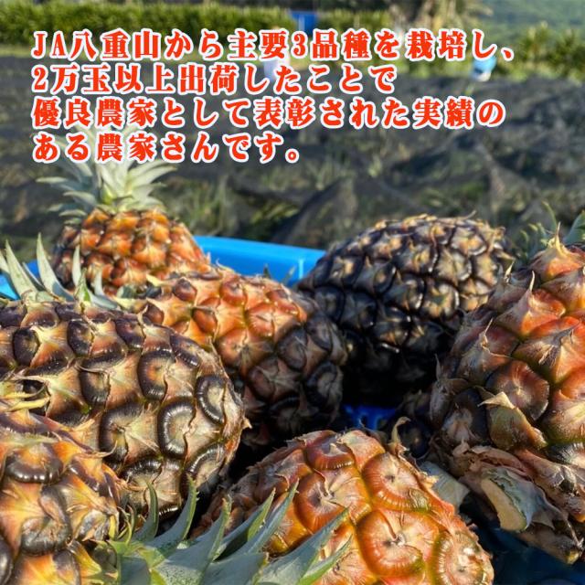石垣島産 ピーチパイン