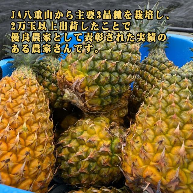 石垣島産 ボゴールパイン