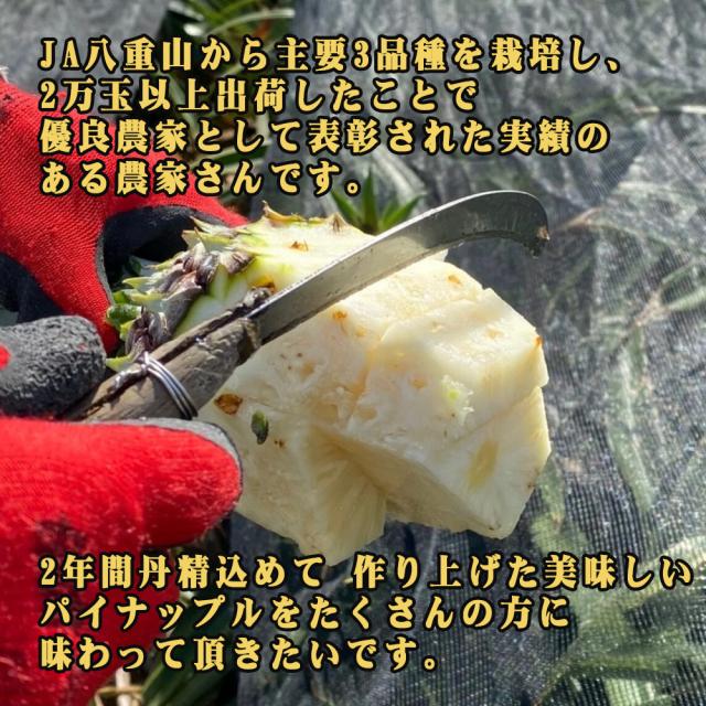 石垣島産 ジュワリーパイン