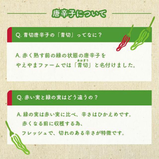 沖縄 青切 スパイス