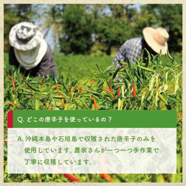 沖縄 青切 スパイス