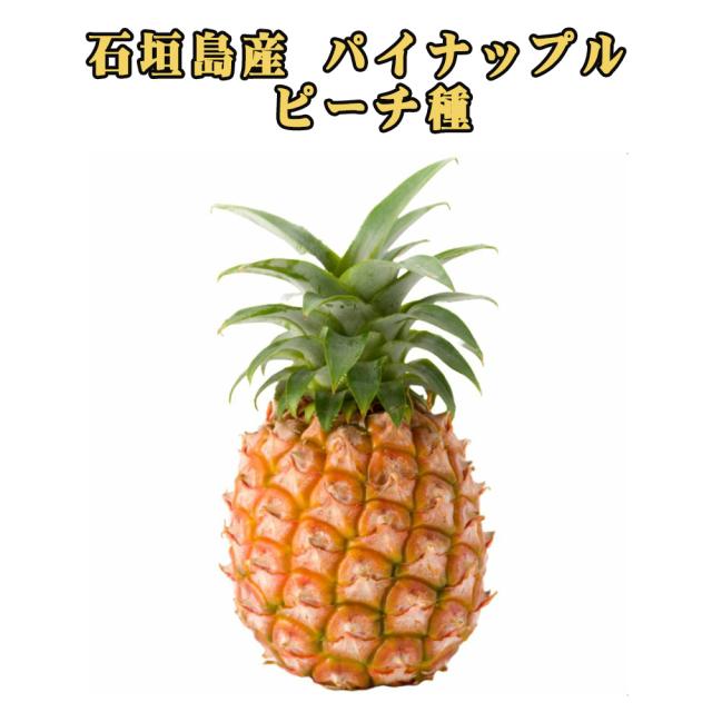 石垣島産 ピーチ種