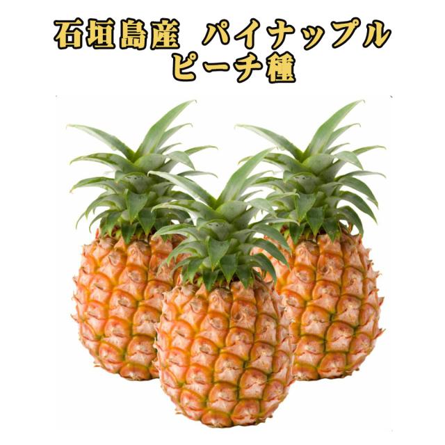 石垣島産 ピーチ種